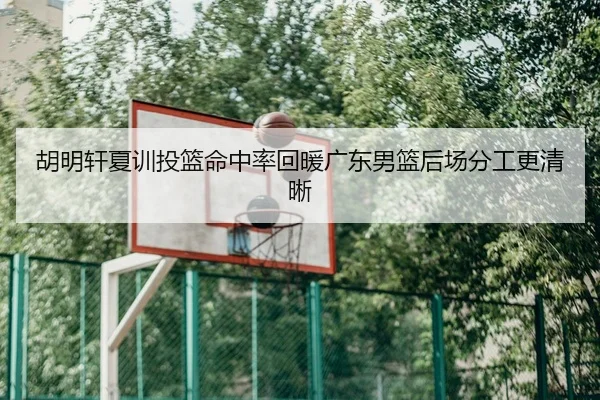 胡明轩夏训投篮命中率回暖广东男篮后场分工更清晰